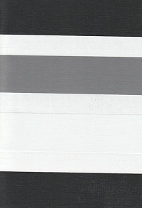 Рулонные шторы день-ночь для проема Салерно, серый 2002 купить в Балашихе с доставкой