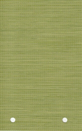 Кассетные рулонные шторы Корсо Блэкаут, зеленый